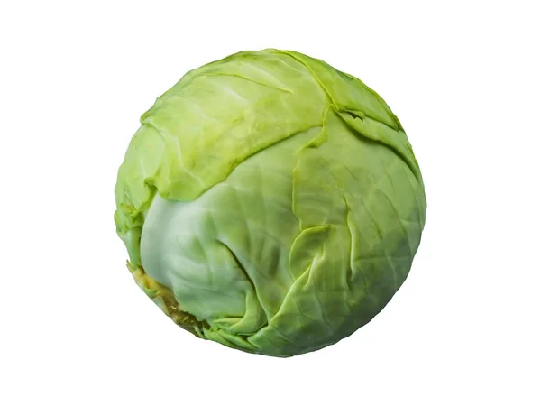 Green cut cabbage isolated on white background — Stock Photo, Image