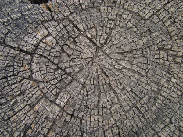 Fondo de textura de madera vieja — Foto de Stock