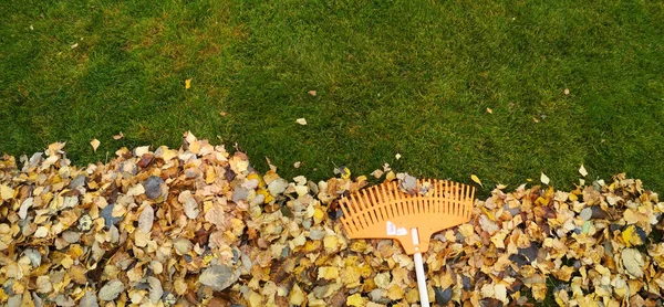 Куча осенних листьев с граблями на газоне — стоковое фото