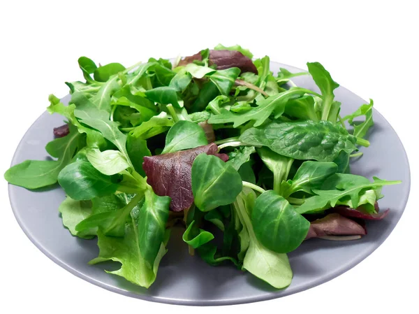 Verse groene gemengde salade met spinazie, rucola, romaine en sla, op witte achtergrond, bovenaanzicht. — Stockfoto