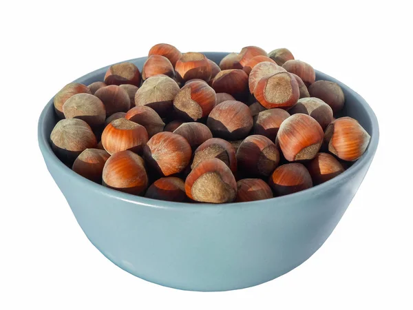 Hazelnut isolated on a white background, healty food. — 스톡 사진