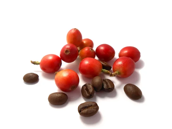 Los granos de café rojos y los granos de café tostados aislados sobre fondo blanco . —  Fotos de Stock