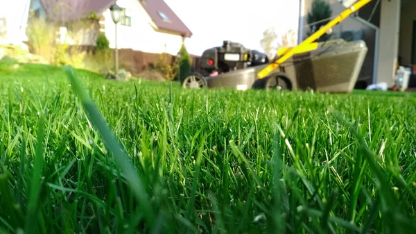Tavaszi napsütéses fűnyírás a kertben. Lawn elmosódott lágy fény a háttérben. — Stock Fotó