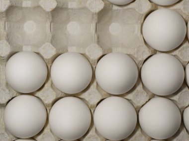 Boş koltuklu yumurta tarlasında çiğ tavuk yumurtası.