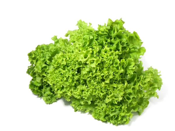 Salata yaprağı. Beyaz arka planda yeşil meşe marulu — Stok fotoğraf