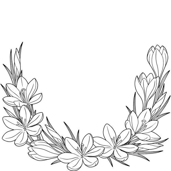 Viñeta de flores de primavera de azafrán. Elementos vectores aislados. Imagen en blanco y negro para la relajación de adultos. Imagen para el diseño de tarjetas Antecedentes del Día de la Mujer el 8 de marzo . — Vector de stock