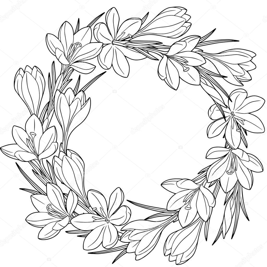 Spring flower wreath of crocuses. Vector elements isolated. Black and white image for adult relaxation. Image for design of cards Background to the Women's Day on 8 March.