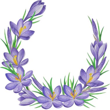 Bahar çiçek bayrağı çiğdemler. Suluboya arka plan