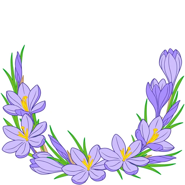 Jarní Květina Vignette Krokusy Vektorové Prvky Izolované Obrázek Pro Design — Stockový vektor