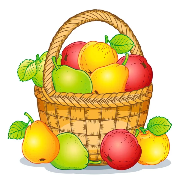 Illustration Style Dessin Animé Récolte Pommes Mûres Poires Dans Panier — Image vectorielle