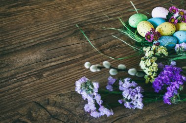 Paskalya arka plan. Yuva ahşap koyu arka plan üzerinde bahar çiçekleri ile parlak renkli yumurtalar. Kopya alanı ile seçici odak.