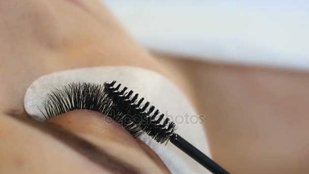 Eyelash Extension Procedure. Woman Eye with Long Eyelashes. Lashes, close up, macro, selective focus. — Stock Video