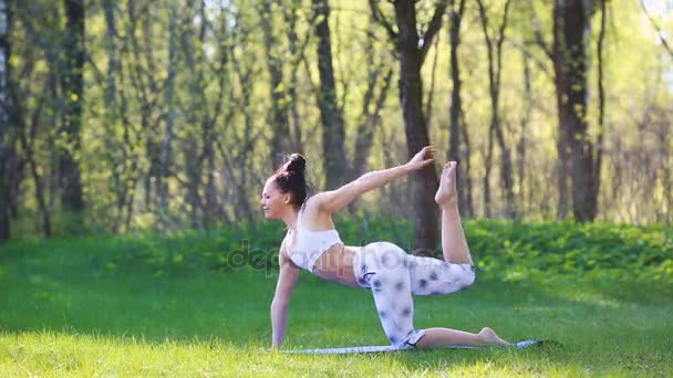 Junge Frau bei Yoga-Übungen im sommerlichen Stadtpark. Konzept für gesunden Lebensstil. — Stockvideo