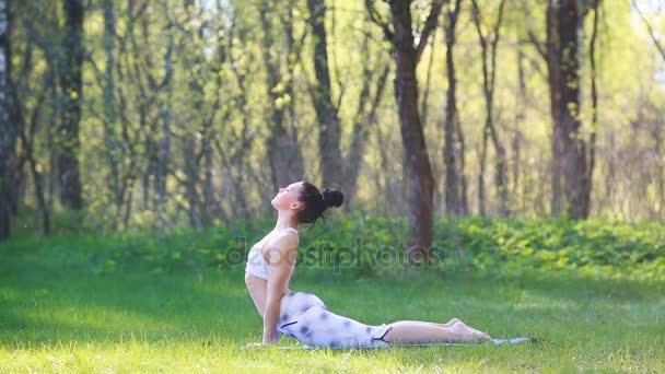 Junge Frau bei Yoga-Übungen im sommerlichen Stadtpark. Konzept für gesunden Lebensstil. — Stockvideo