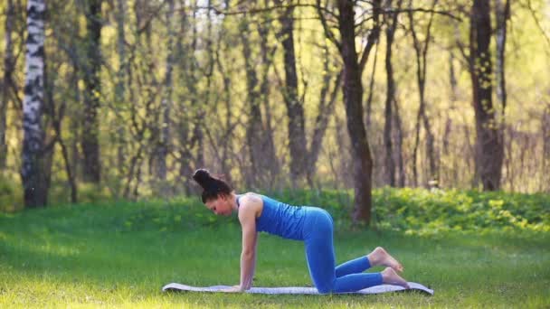 Jonge vrouw doen yoga oefeningen in het stadspark van de zomer. Gezondheid levensstijl concept. — Stockvideo