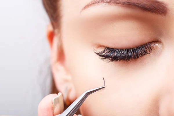 Eyelash Extension Procedure. 긴 눈썹을 가진 여인의 눈. 선반, 가까이, 매크로, 선택적 집중. — 스톡 사진