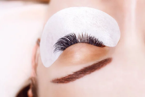 Eyelash Extension Procedure. 긴 눈썹을 가진 여인의 눈. 선반, 가까이, 매크로, 선택적 집중. — 스톡 사진