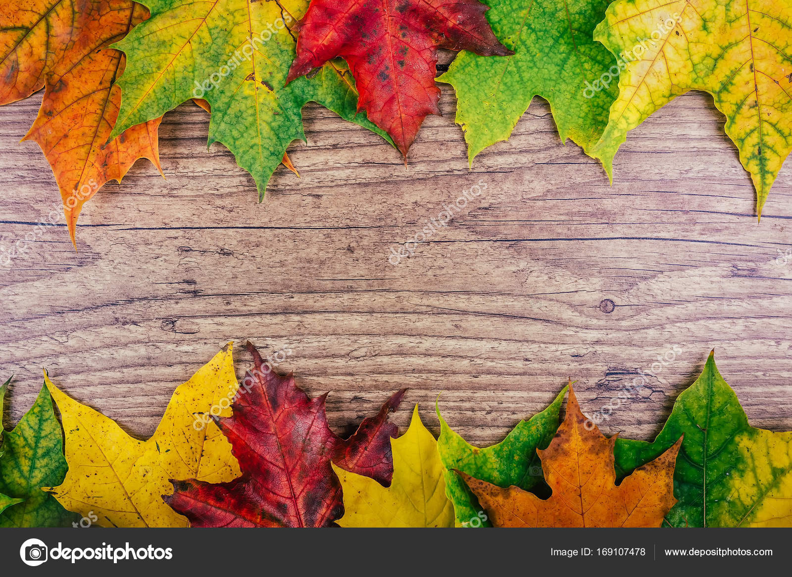 カラフルな秋もみじ秋の背景は 素朴な木製のテーブルに残します 感謝祭の休日のコンセプトです 緑 黄色と赤の秋を葉します トップ ビュー ストック写真 C Licsiren
