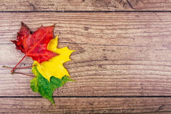 Fondo de otoño con hojas de arce de otoño de colores en la mesa de madera rústica. Concepto de vacaciones de Acción de Gracias. Hojas de otoño verdes, amarillas y rojas. Vista superior . — Foto de Stock