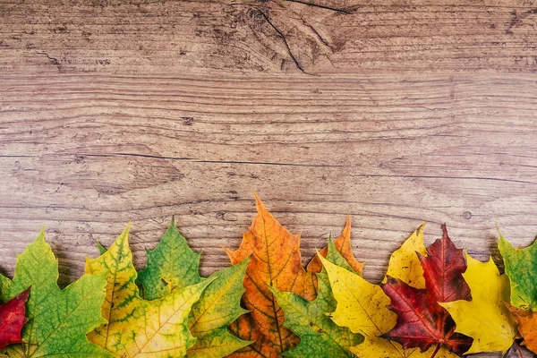 Fond d'automne avec des feuilles d'érable d'automne colorées sur une table en bois rustique. Thanksgiving vacances concept. Feuilles d'automne vertes, jaunes et rouges. Vue du dessus . — Photo