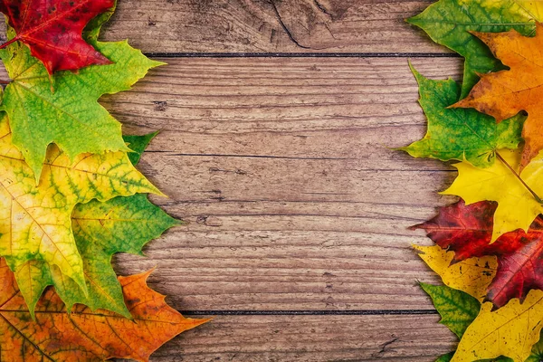 Herbst Hintergrund mit bunten Herbst Ahornblättern auf rustikalem Holztisch. Danksagungsurlaub Konzept. grüne, gelbe und rote Herbstblätter. Ansicht von oben. — Stockfoto