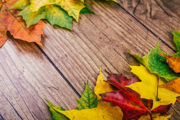 Fondo de otoño con hojas de arce de otoño de colores en la mesa de madera rústica. Concepto de vacaciones de Acción de Gracias. Hojas de otoño verdes, amarillas y rojas. Enfoque selectivo . — Foto de Stock