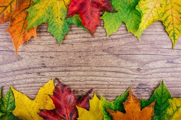 Fond d'automne avec des feuilles d'érable d'automne colorées sur une table en bois rustique. Thanksgiving vacances concept. Feuilles d'automne vertes, jaunes et rouges. Vue du dessus . — Photo