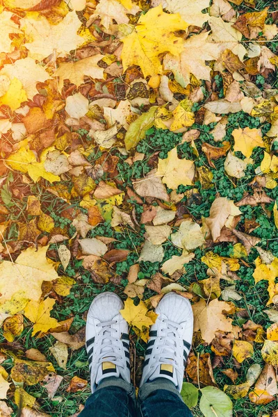 Piernas mans en zapatillas blancas y pantalones vaqueros azules de pie en el suelo con hojas de otoño, vista superior . — Foto de Stock