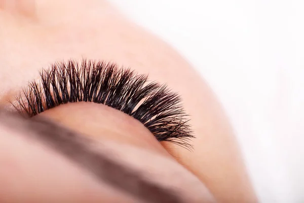 Wimpernverlängerungsverfahren. Frauenauge mit langen Wimpern. Wimpern, Nahaufnahme, Makro, selektiver Fokus. — Stockfoto