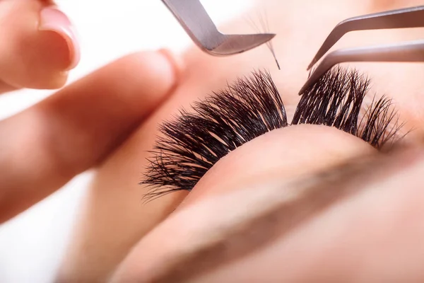 Eyelash Extension Procedure. 긴 눈썹을 가진 여인의 눈. 선반, 가까이, 매크로, 선택적 집중. — 스톡 사진