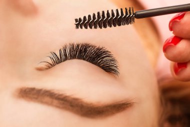 Kirpik uzatma prosedürü. Uzun kirpikli kadın gözü. Yaklaş, seçici odaklanma.