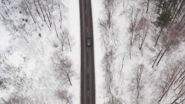 冬の森の道を車の運転の空中ビュー。風光明媚な冬の風景です。トップトラッキングショット. — ストック動画