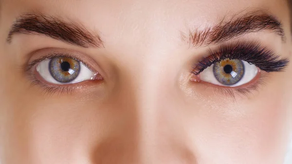 Procedimento de extensão das pestanas. Olho de mulher com pestanas azuis longas. Efeito Ombre. Close up, foco seletivo . — Fotografia de Stock