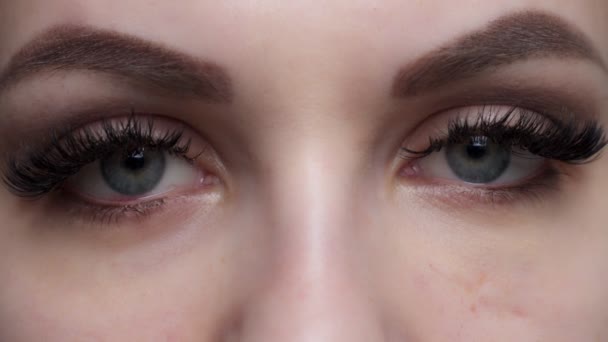 Wimpernverlängerung. Frauenauge mit langen blauen Wimpern. ombre-Effekt. Nahaufnahme, selektiver Fokus. — Stockvideo