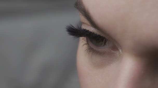 Ögonfransförlängning. Kvinna öga med långa ögonfransar. Närbild. — Stockvideo