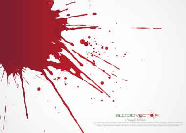 Kan splatter izole üzerinde beyaz arka plan, vektör tasarımı 