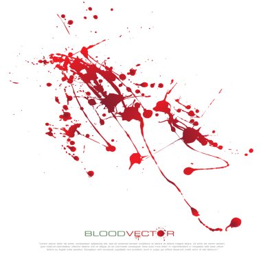 Kan splatter izole üzerinde beyaz arka plan, vektör tasarımı 
