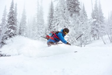 Kayakçı devreden freeride Kayak orman