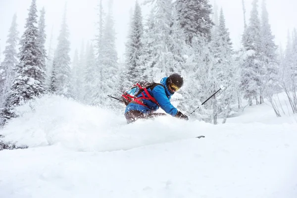 Síelő pályán kívüli freeride síelő erdő — Stock Fotó