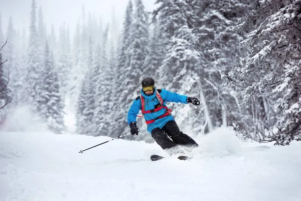 Skiër snel bos off-piste verplaatsen — Stockfoto