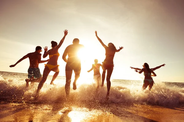Grande companhia de amigos se divertindo na praia do pôr do sol — Fotografia de Stock