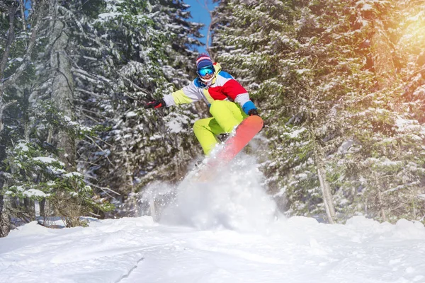 Snowboarder backcountry salto offpiste contra a floresta congelada — Fotografia de Stock