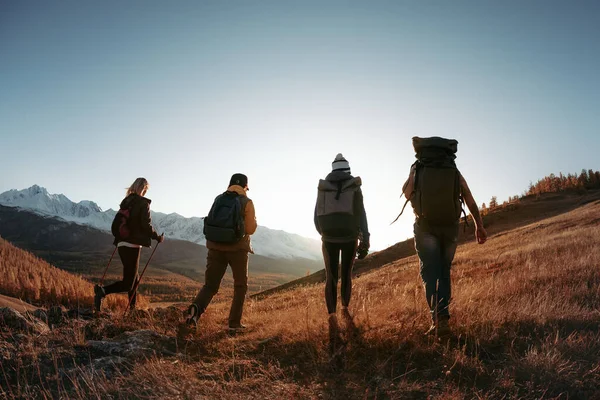 Cuatro excursionistas o mochileros caminan en las montañas del atardecer — Foto de Stock