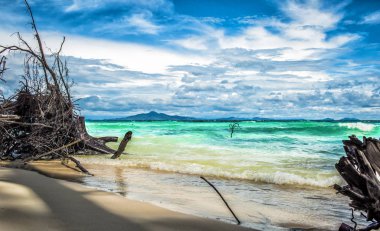 Bambu Island, Tayland sahil şeridi üzerinde kırık dal