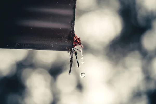 Druppels water uit een pijpreiniger — Stockfoto