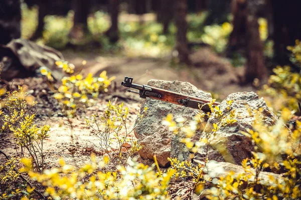 Фінська-гвинтівка M-27 — стокове фото