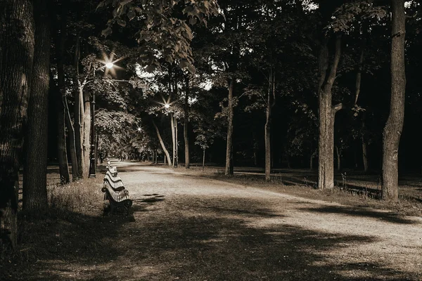 La ruelle de la nuit — Photo