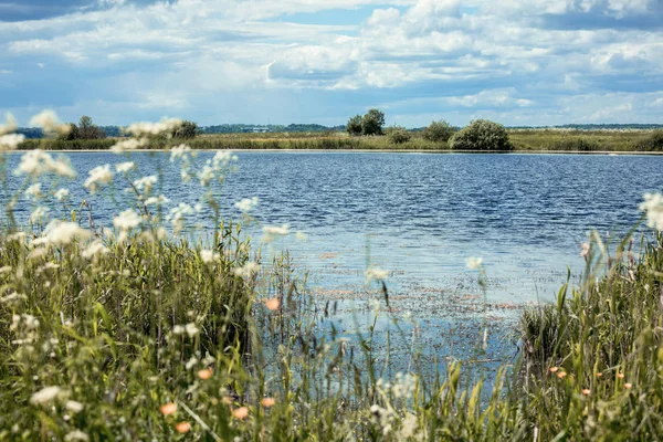 Summer blue lake — Stock Photo, Image