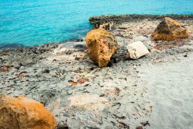 Okyanus volkanik sahil 