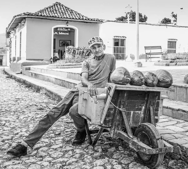 Viejo hombre ventas cocos — Foto de Stock